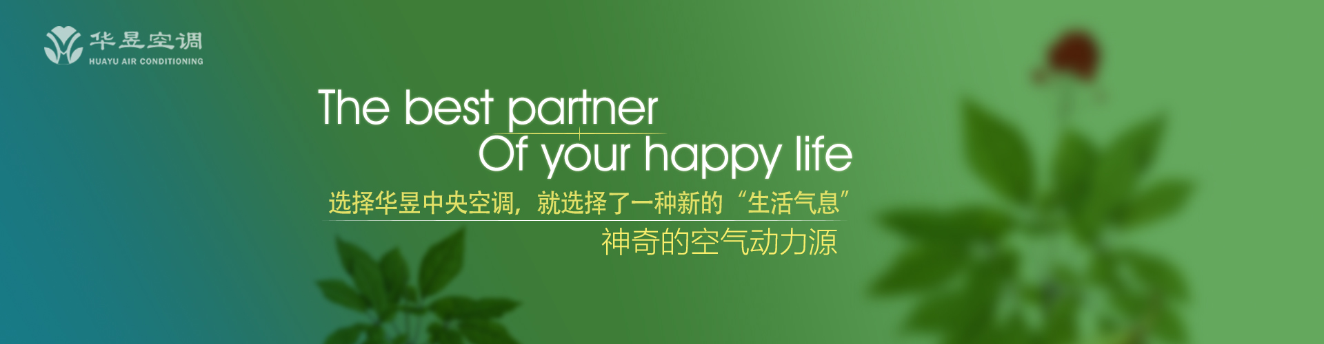 左拥右抱网